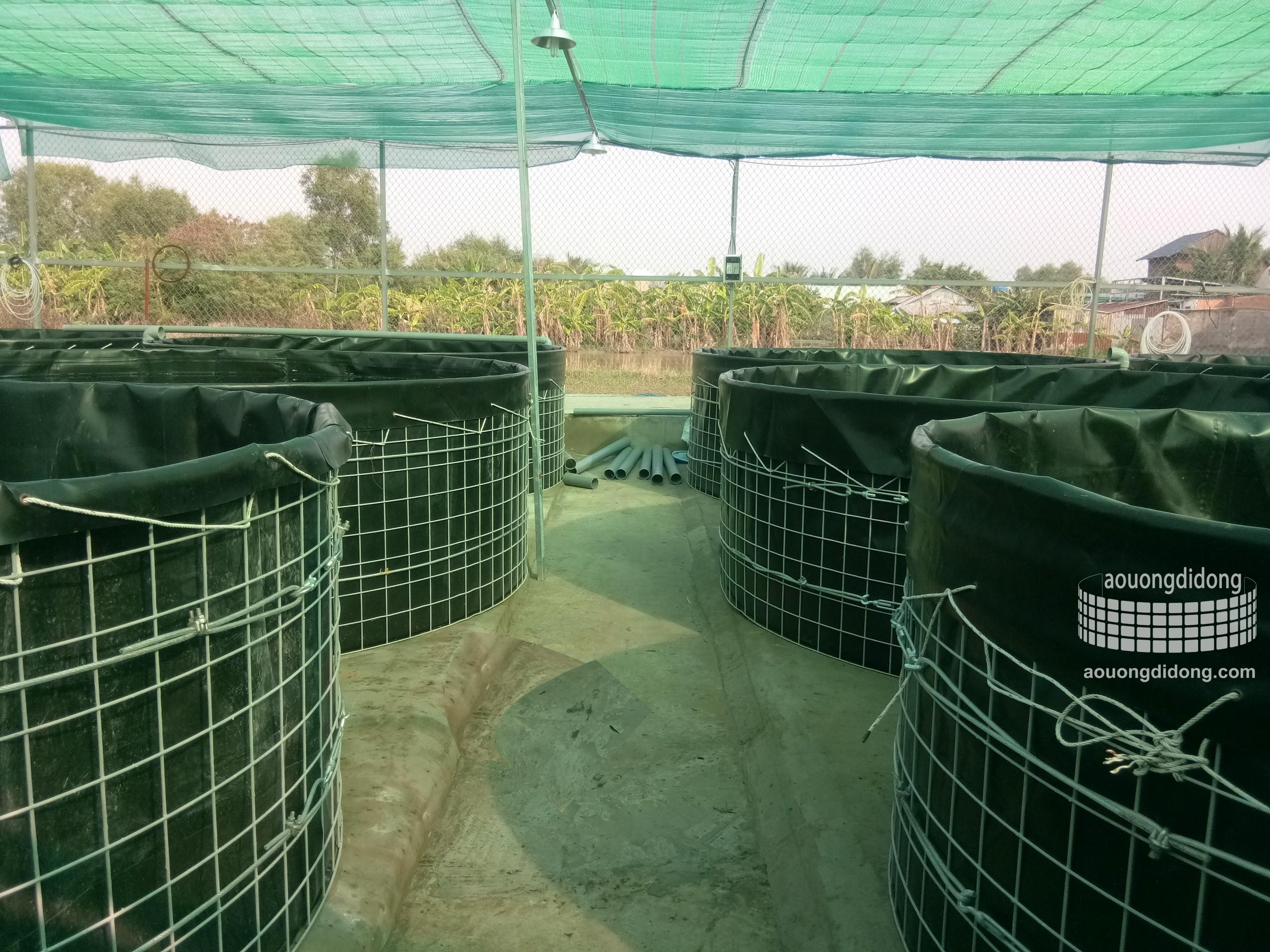 Bồn lót bạt nuôi lươn